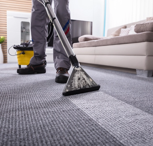 professional carpet cleaning